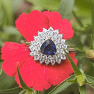 Trillion Cut